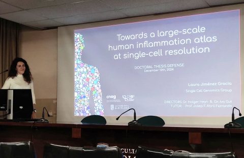 Mapping immune responses: a DocTIS thesis on understanding human inflammation