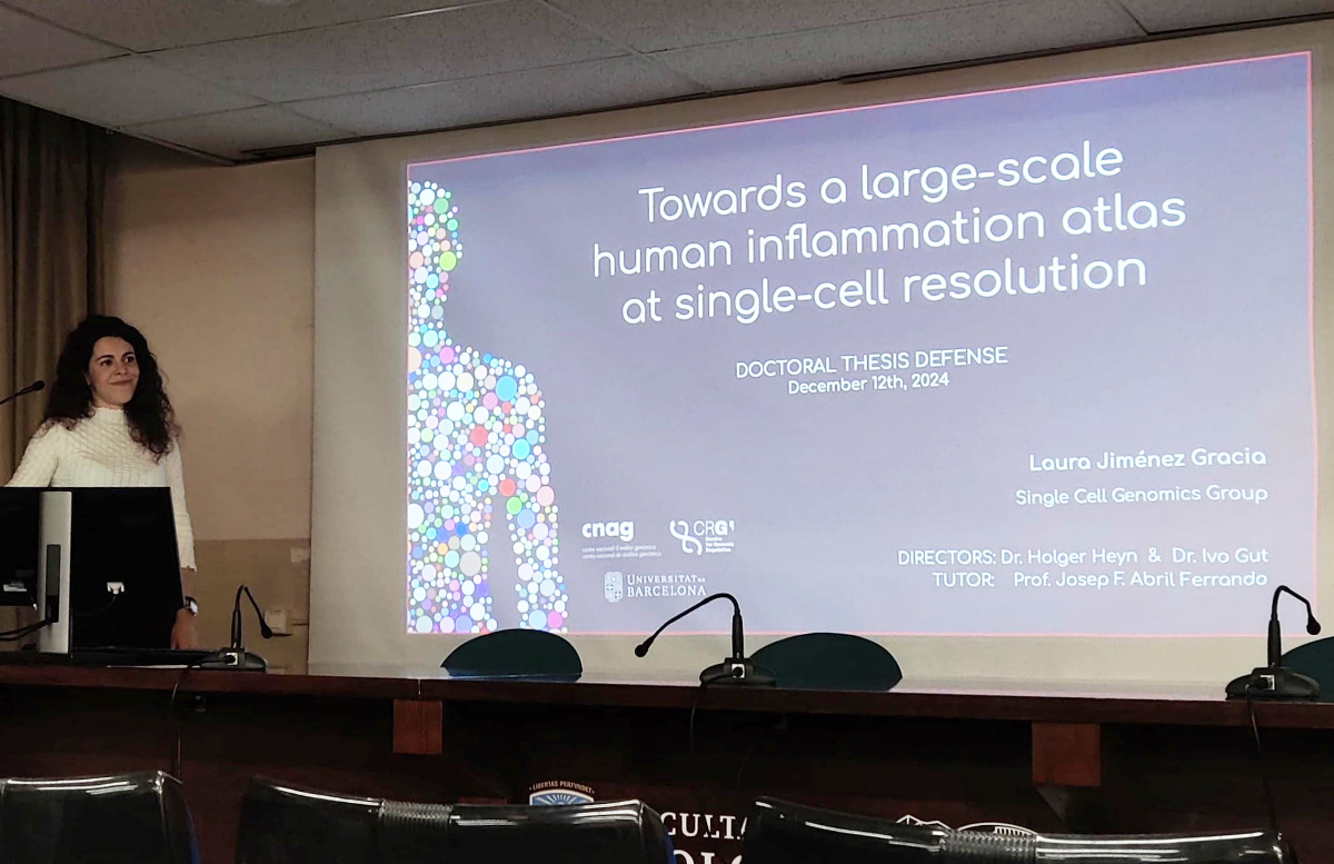 Mapping immune responses: a DocTIS thesis on understanding human inflammation