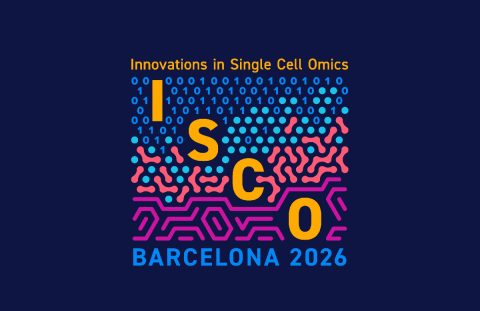 DocTIS researcher Yolanda Guillén to present at ISCO 2026 conference in Barcelona